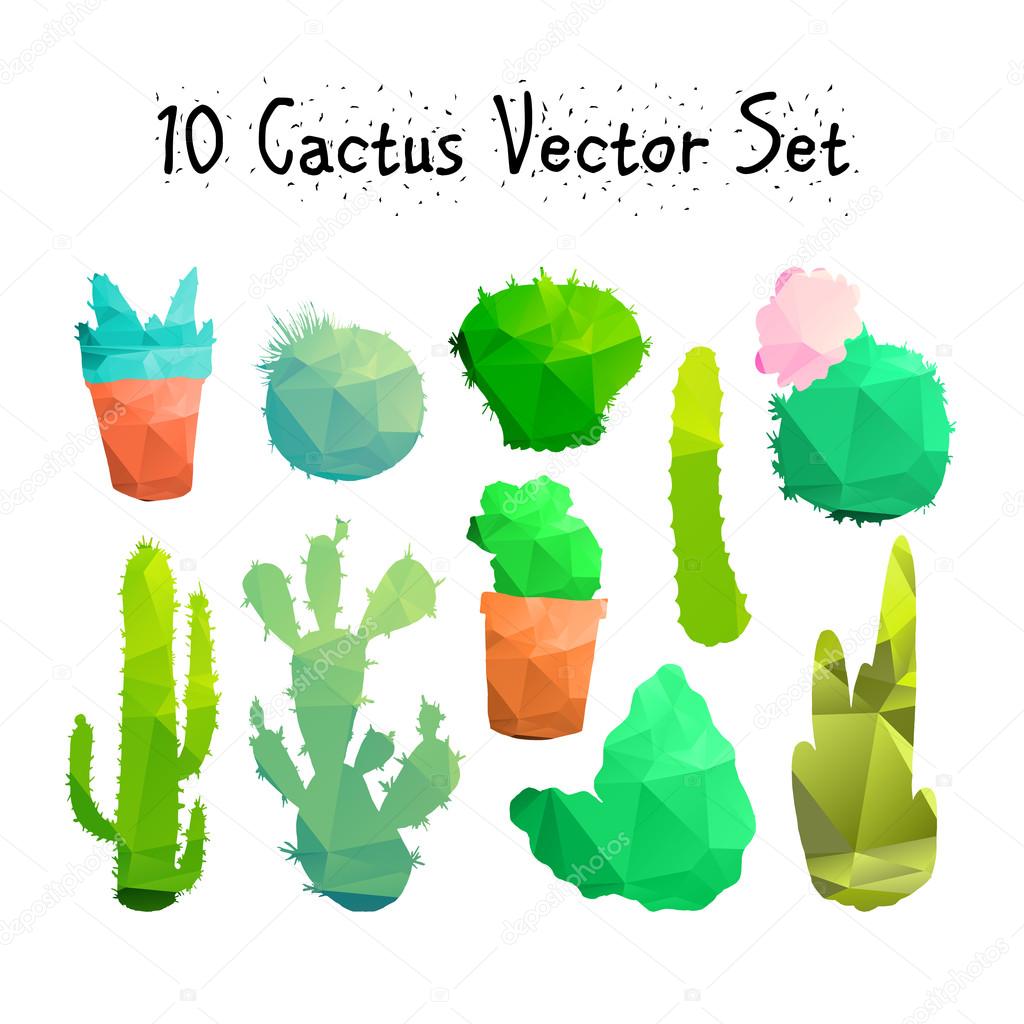 Hand Drawn Isolated Cactuses Set