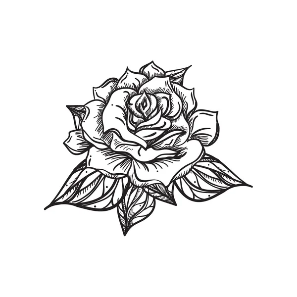 Hand Drawn Wedding Rose — Stock Vector