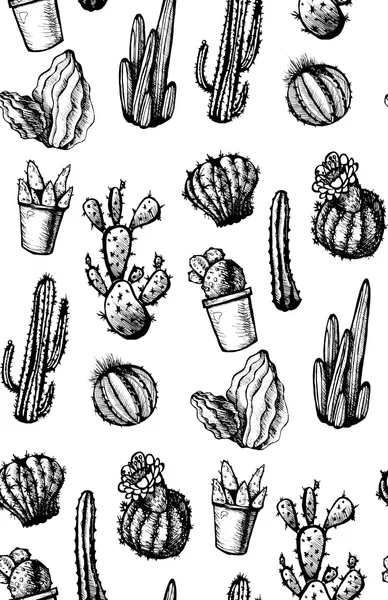 Hand getekend geïsoleerde cactussen naadloze patroon — Stockvector