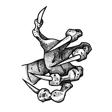 Dragon ya da canavar pençe