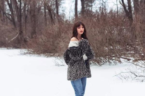 Vinterpromenad Snöig Park — Stockfoto