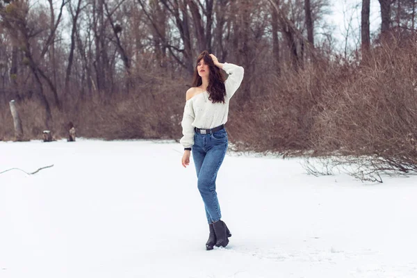 Vinterpromenad Snöig Park — Stockfoto