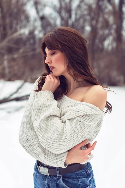 Winter Walk Snowy Park — Stock Photo, Image