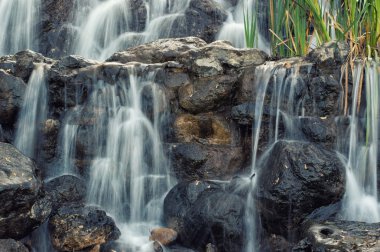 Avrupa'nın vahşi manzaralar