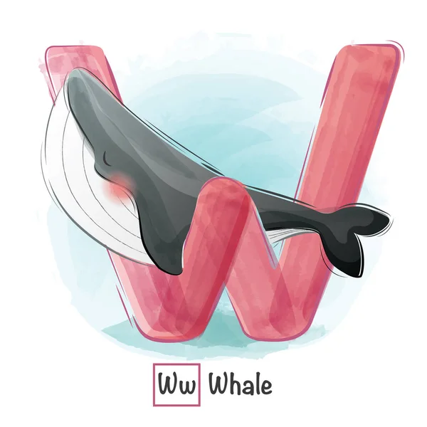 動物のアルファベットのベクトル漫画のイラスト Wクジラ — ストックベクタ