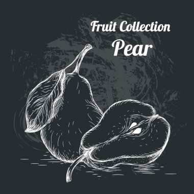 Elle çizilmiş kroki armut. Vintage Eko gıda vektör çizim.