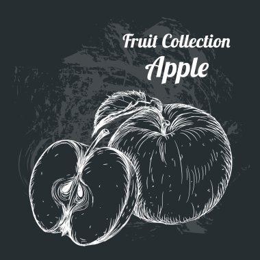 Elle çizilmiş kroki elma. Vintage Eko gıda vektör çizim.