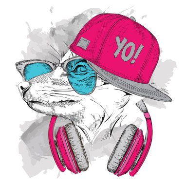 Fox gözlük, kulaklık ve hip-hop şapkalı portresi. Vektör çizim.