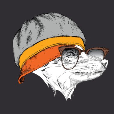 Fox şapkalı portresi. Vektör çizim.