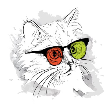 Etnik el kedi başkanı renkli gözlük çizimi. Baskı, poster, tişört için kullanılabilir. Vektör çizim