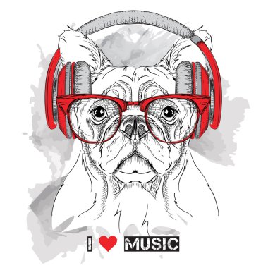 Gözlük ve kulaklık köpek. Vektör çizim.