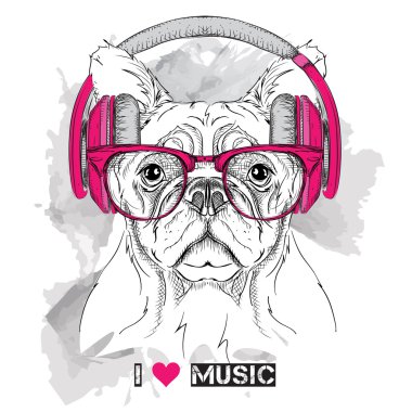 Gözlük ve kulaklık köpek. Vektör çizim.