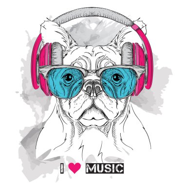 Gözlük ve kulaklık köpek. Vektör çizim.