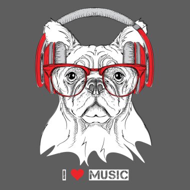 Gözlük ve kulaklık köpek. Vektör çizim.