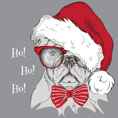 Noel poster ile görüntü köpek portre Noel Baba'nın şapkalı. Vektör çizim.