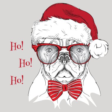 Noel poster ile görüntü köpek portre Noel Baba'nın şapkalı. Vektör çizim.