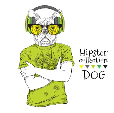 Hipster dressed  dog up in t-shirt and wiht the glasses, headphones. Vector illustration. clipart