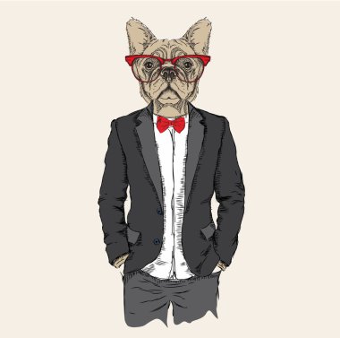 Ceket, pantolon ve kazak giymiş köpek hipster İllüstrasyon. Vektör çizimi