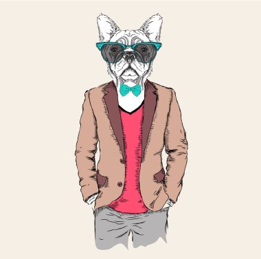 Ceket, pantolon ve kazak giymiş köpek hipster İllüstrasyon. Vektör çizimi