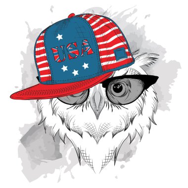 Ele bir ABD şapka baykuş çekin. Vektör çizim