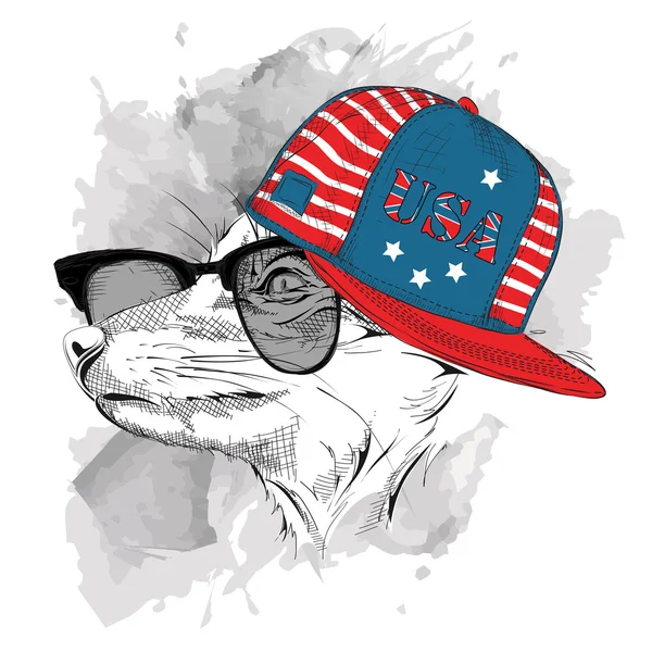 Fox en las gafas, auriculares y sombrero de hip-hop con estampado de USA. Ilustración vectorial . — Vector de stock