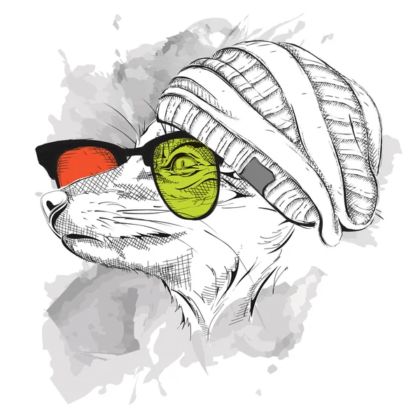 Mão desenhar raposa no chapéu e em óculos coloridos. Ilustração vetorial —  Vetores de Stock