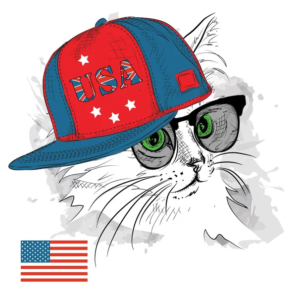插图的猫在眼镜，耳机和嘻哈帽子印的美国。矢量图. — 图库矢量图片