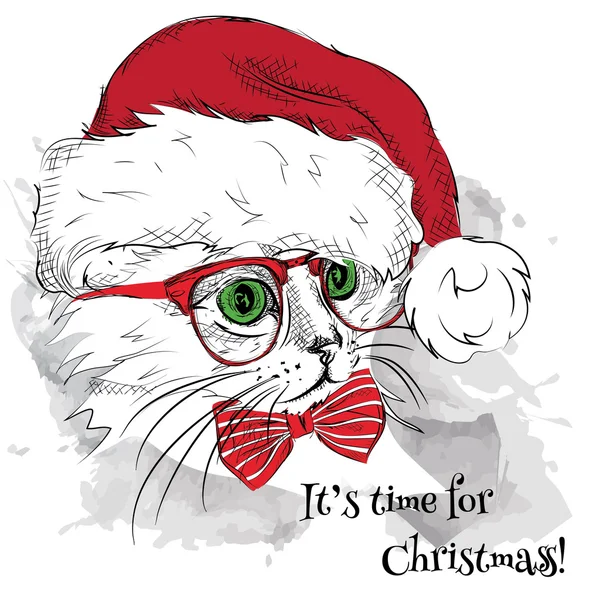 El cartel de navidad con la imagen del gato retrato en el sombrero de Santa. Ilustración vectorial . — Archivo Imágenes Vectoriales