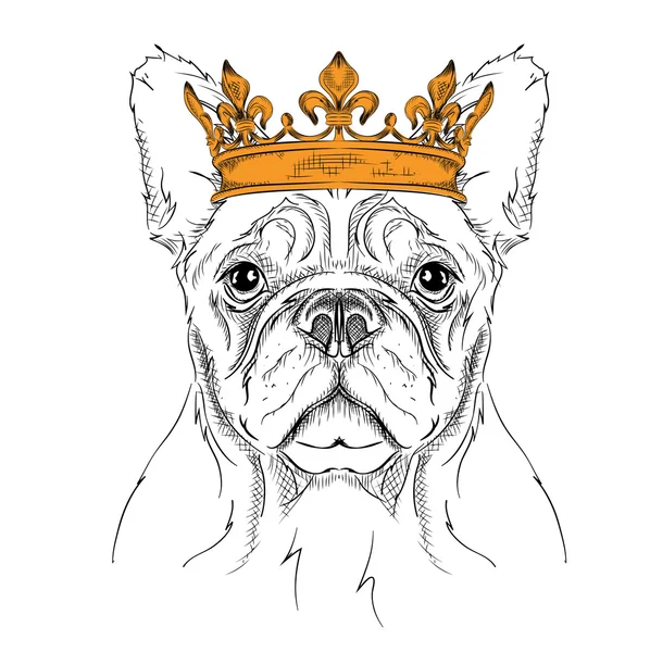 Disegno a mano Immagine Ritratto cane nella corona. Disegno africano / indiano / totem / tatuaggio. Utilizzare per la stampa, manifesti, t-shirt. Illustrazione vettoriale di disegno a mano — Vettoriale Stock