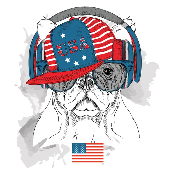 狗在眼镜，耳机和嘻哈帽子与乌萨打印。矢量插图. — 图库矢量图片