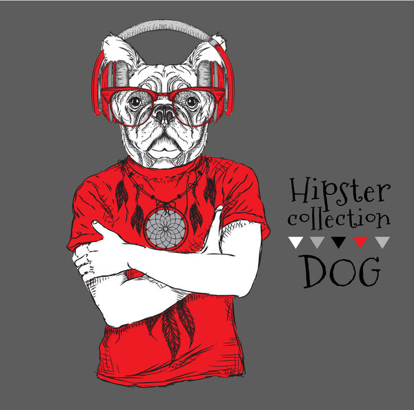 Hipster dressed  dog up in t-shirt and wiht the glasses, headphones. Vector illustration.