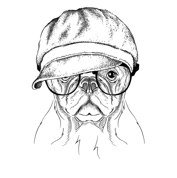 Retrato de perro en gorra. Ilustración vectorial . — Vector de stock