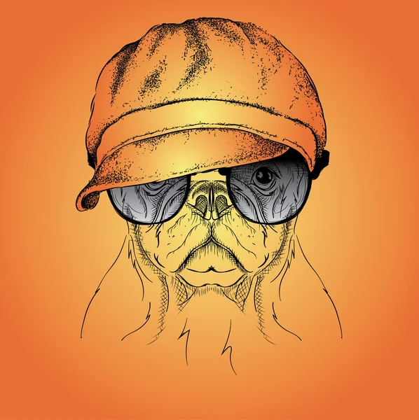 Portrait of dog in cap. Vector illustration. — Stock Vector