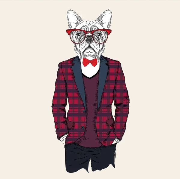 Ilustração de cão hipster vestido com jaqueta, calças e suéter. Ilustração vetorial —  Vetores de Stock