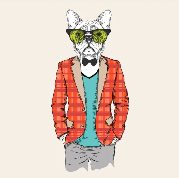 Ceket, pantolon ve kazak giymiş köpek hipster İllüstrasyon. Vektör çizimi