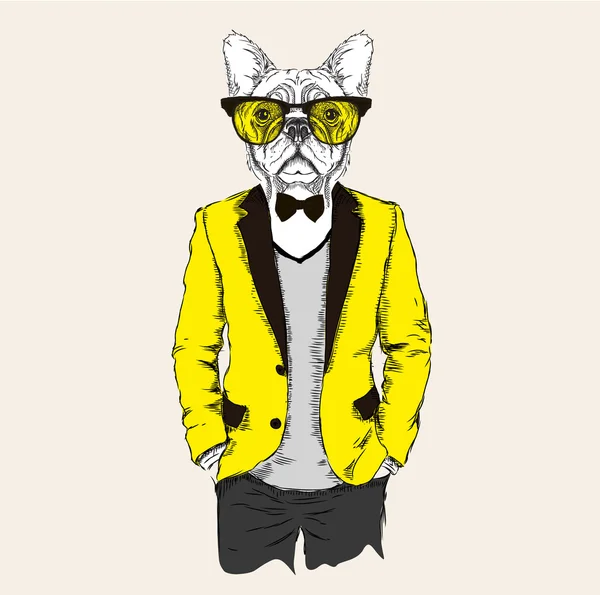 Illustration of dog hipster dressed up in jacket, pants and sweater. Vector illustration — Stock Vector