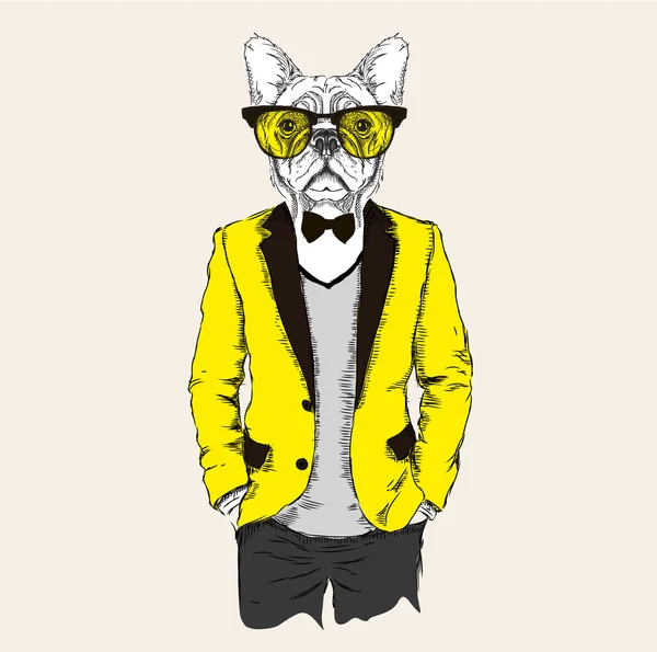 Ceket, pantolon ve kazak giymiş köpek hipster İllüstrasyon. Vektör çizimi
