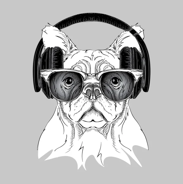 Chien en lunettes et écouteurs. Illustration vectorielle . — Image vectorielle