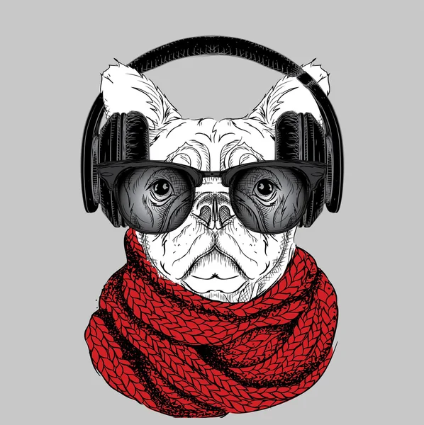 Σκύλος σε γυαλιά, χειμωνιάτικο κασκόλ και με ακουστικά. Απεικόνιση διανυσματικών φορέων. — Διανυσματικό Αρχείο
