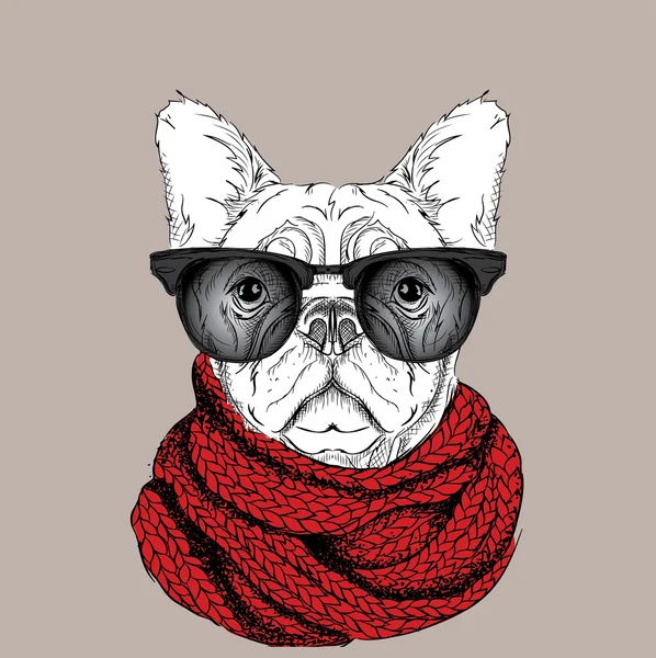 Chien en lunettes et écharpe d'hiver. Illustration vectorielle . — Image vectorielle