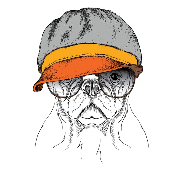 帽子をかぶった犬の肖像。ベクトルイラスト. — ストックベクタ