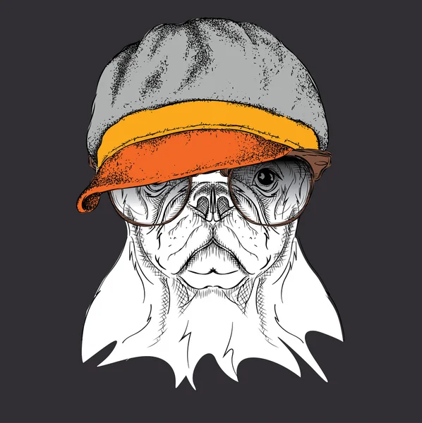 Retrato de perro en gorra. Ilustración vectorial . — Vector de stock