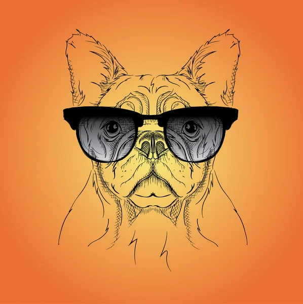 Cão de óculos. Ilustração vetorial . — Vetor de Stock