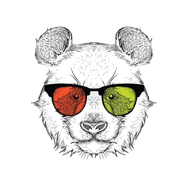Portret van de Panda in de gekleurde bril. Vector illustratie. — Stockvector