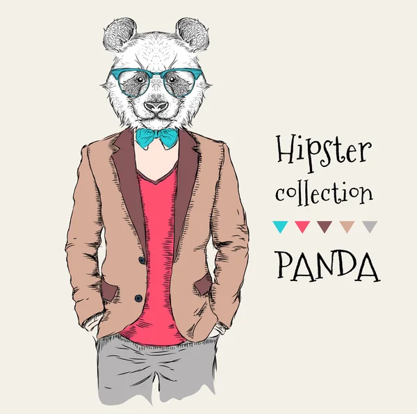 Ceket, pantolon ve kazak giymiş panda hipster İllüstrasyon. Vektör çizimi