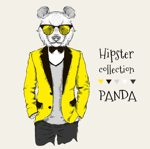Ceket, pantolon ve kazak giymiş panda hipster İllüstrasyon. Vektör çizimi