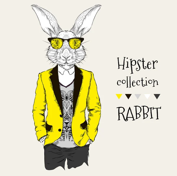 Ceket, pantolon ve kazak giymiş tavşan hipster İllüstrasyon. Vektör çizimi