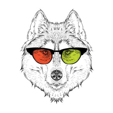 Renkli gözlükhusky portresi. Farklı düşün. Vektör çizimi.