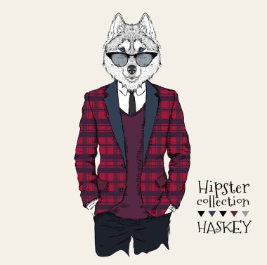 Ceket, pantolon ve kazak giymiş husky hipster İllüstrasyon. Vektör çizimi