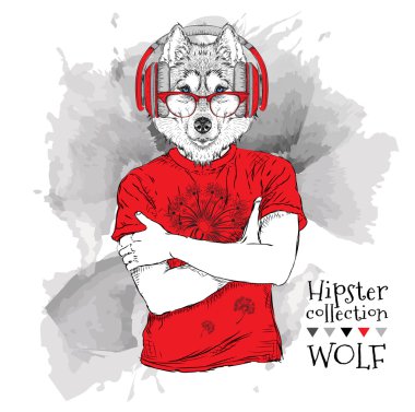 T-shirt, pantolon ve gözlük ve kulaklık giymiş kurt hipster İllüstrasyon. Vektör çizimi.
